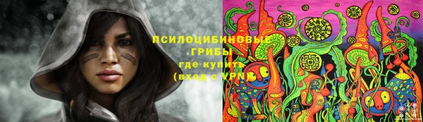 круглые Алзамай