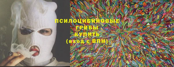 бутират Алексеевка