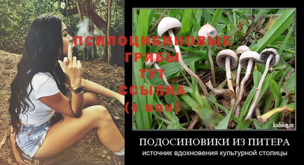 круглые Алзамай