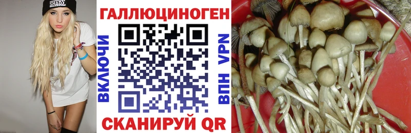 Галлюциногенные грибы Magic Shrooms  наркотики  Балашиха 